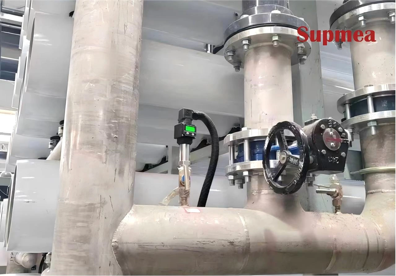Supmea Instruments Support Biomass CHP Upgrade for Reliable District Heating Supply